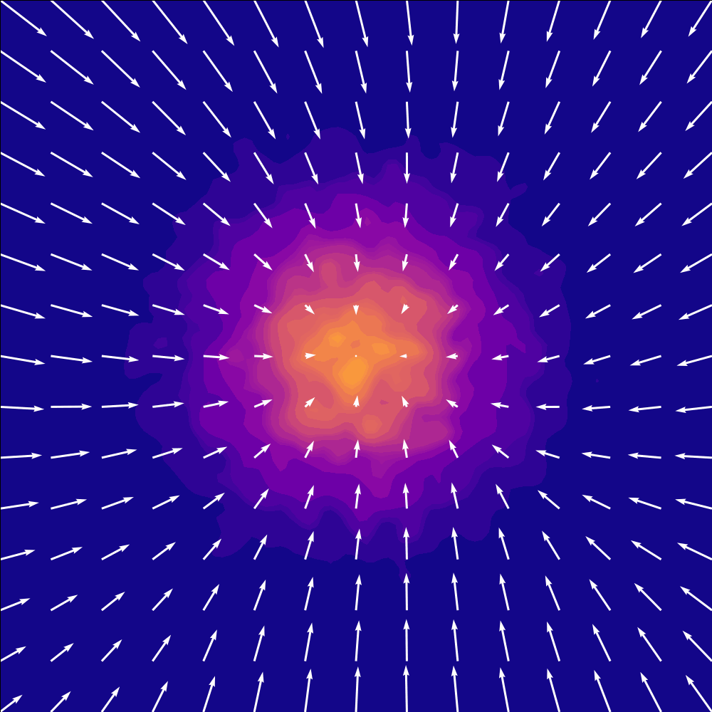 Flow Matching Vector Field